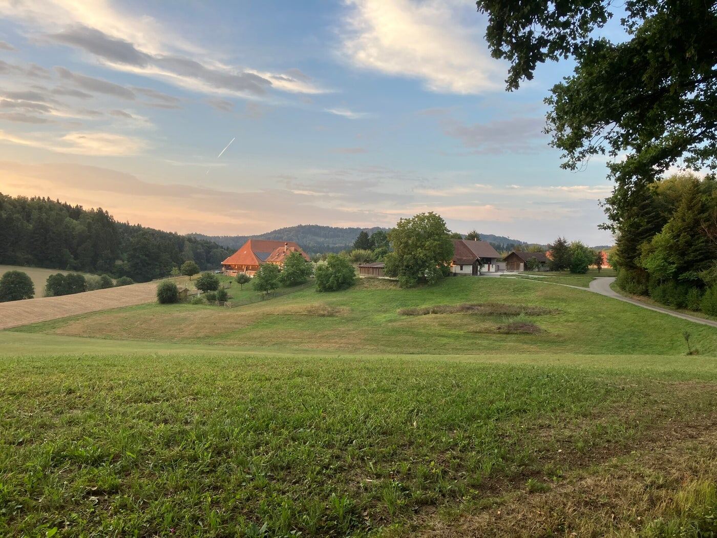 Landschaft bei Mättenwil